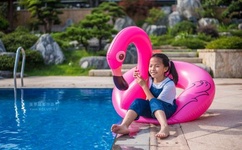 混乱家庭电影完整版在线看